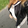 maryorimontalvo