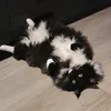messorius