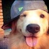 piyzz2