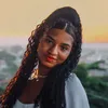 lolla_lr1