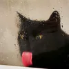 nubia_ly