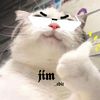 jim_edit_preset