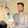 khurramgujjar4142