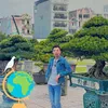 bonsai_viet1