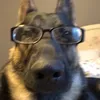 letosgf