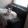 lyndabarrow0
