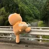 lacassadelpapi