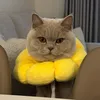 luluthekittyx