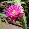 unknow_99191
