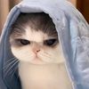 miranurainii