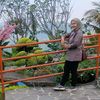 nengastri2612