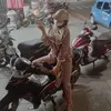 anhhongtetlet09