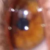 cicababa53