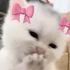 tolakieukieu