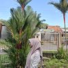 nisnis1403