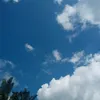 putrilidiaa_