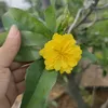 thaihoanghuynam1998