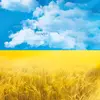 zluka_35