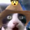 pac0_memo