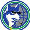 packers_twolves