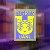 Tigres Femenil