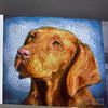 vizsladad