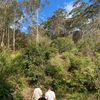 deakinmcpartland