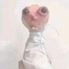 pendos6969