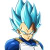 vegeta33.1