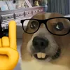 floupy_y