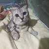 meoiutit