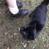 catmao