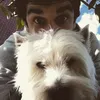 alexchfer