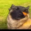 matteodfzz