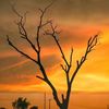 malik_faizi302