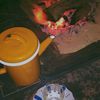 abo_rashed221406