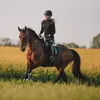 celinasequestrian