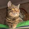 milli_milashka_28052023