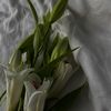 user043516585