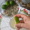 Receitas Leves