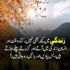 faisalmehmood9099