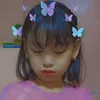 taniaceean