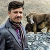 koki.bhai10