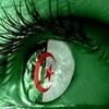 houdaboussaha
