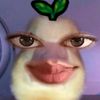 shyiffa1