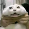 quaivatbunbohueramram