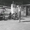 ybgii_
