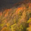 ghita_963
