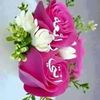 asri686