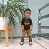 idaz46